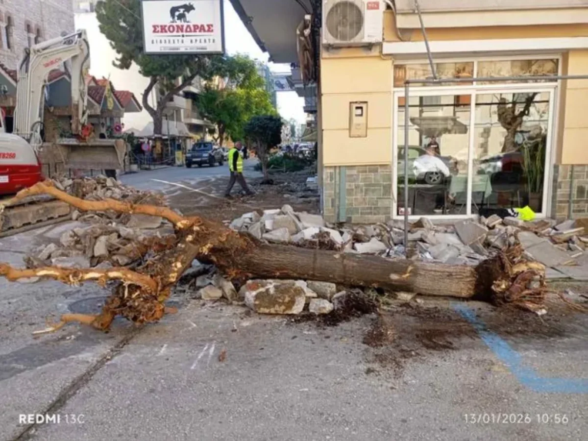&Alpha;&sigma;&tau;&upsilon;&nu;&omicron;&mu;ί&alpha; &gamma;&iota;&alpha; &tau;&alpha; &delta;έ&nu;&delta;&rho;&alpha;: &Nu;έ&epsilon;&sigmaf; &alpha;&nu;&tau;&iota;&delta;&rho;ά&sigma;&epsilon;&iota;&sigmaf; &gamma;&iota;&alpha; &epsilon;&kappa;&rho;&iota;&zeta;ώ&sigma;&epsilon;&iota;&sigmaf;
