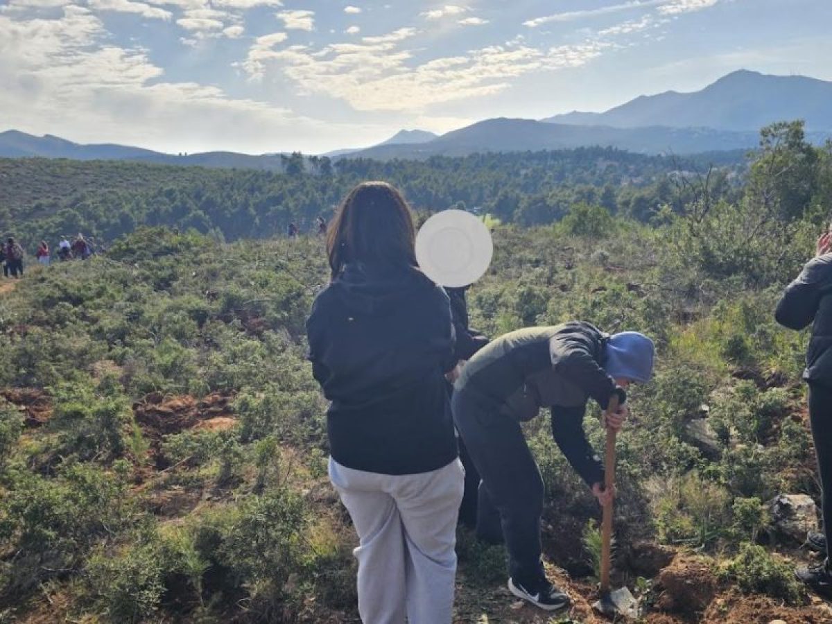 1η Εθελοντική Μαθητική Δενδροφύτευση του ΣΠΑΠ για τη φυτευτική περίοδο 2026 στο Πεντελικό Όρος