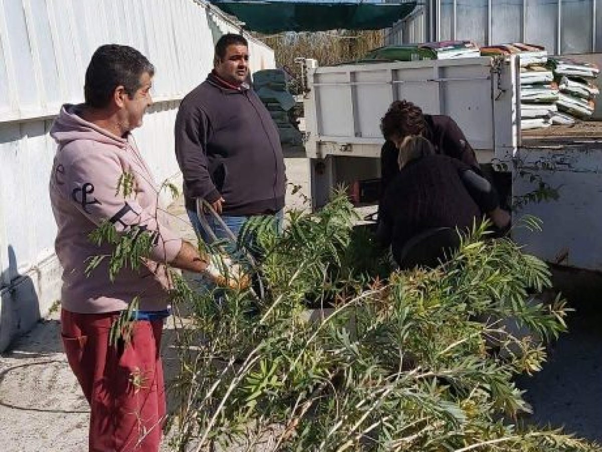 2.700 ΔΑΣΙΚΑ ΚΑΙ ΚΑΛΛΩΠΙΣΤΙΚΑ ΦΥΤΑ ΑΠΟ ΤΟ ΠΕΡΙΦΕΡΕΙΑΚΟ ΦΥΤΩΡΙΟ ΑΛΛΑΖΟΥΝ ΤΟ ΠΕΡΙΒΑΛΛΟΝ, ΤΗΝ ΠΟΙΟΤΗΤΑ ΖΩΗΣ ΚΑΙ ΤΟ ΜΕΛΛΟΝ ΤΩΝ ΝΗΣΙΩΝ
