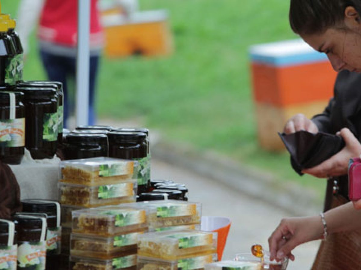 55 οικοτεχνίες μετράει το Ρέθυμνο