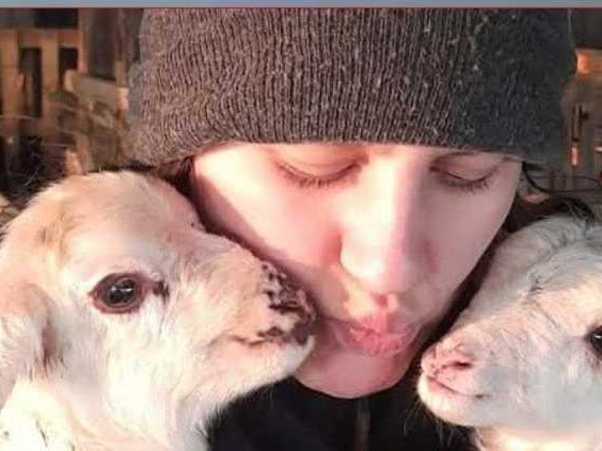 H γη έχει μνήμη και η Ελλάδα …κινδυνεύει να χάσει τις ρίζες της – Μια ανάρτηση γροθιά στο στομάχι