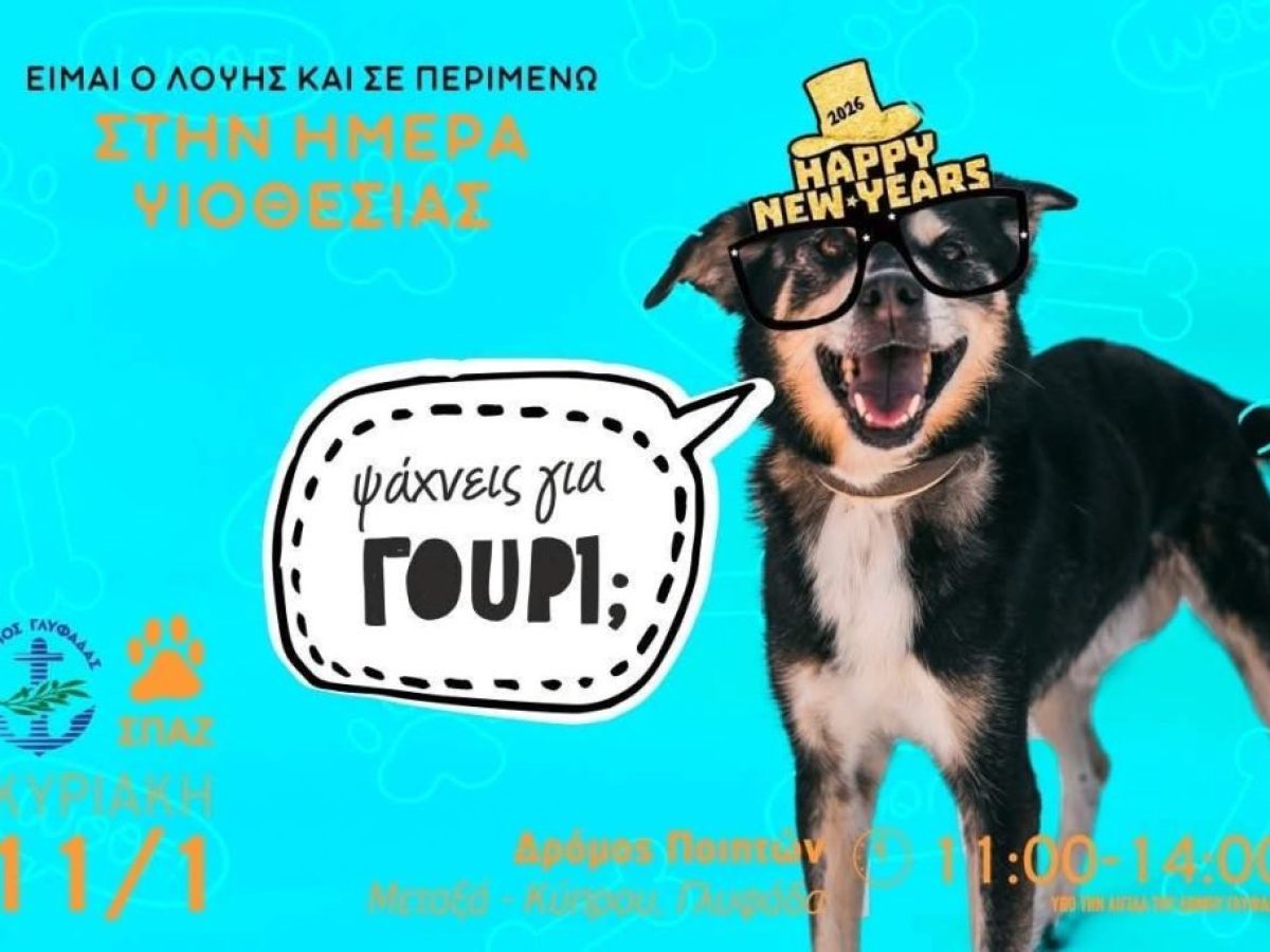 H πρώτη υιοθεσία σκύλων της χρονιάς στη Γλυφάδα