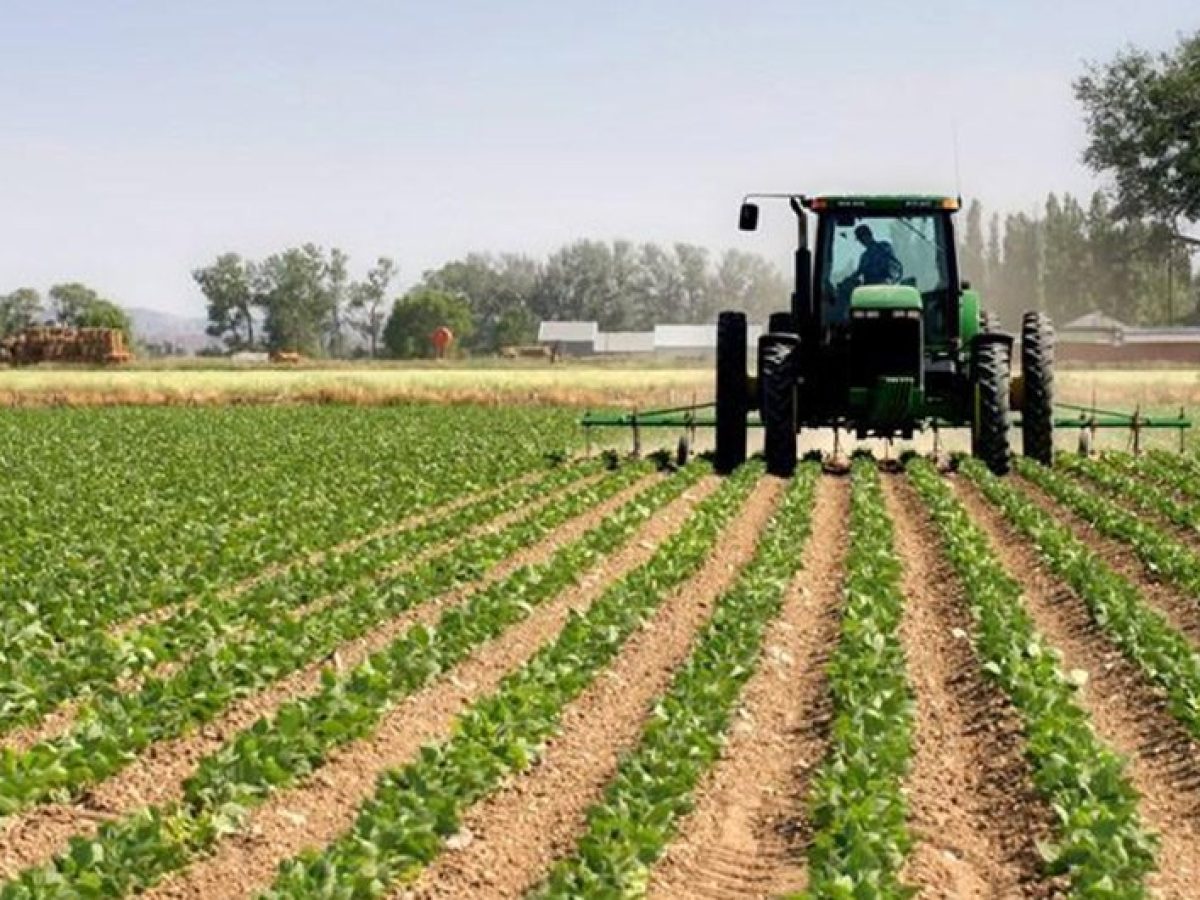 Mercosur: Απογοήτευση Κομισιόν για την απόφαση του Ευρωκοινοβουλίου