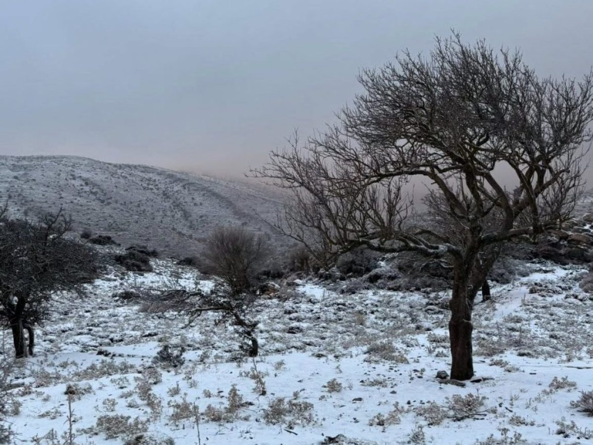 Mετά το «τσουχτερό» κρύο στην Κρήτη και τα χιόνια στα ορεινά, έρχονται… 20αρια!