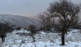 Meta-to-tsouchtero-krio-stin-3