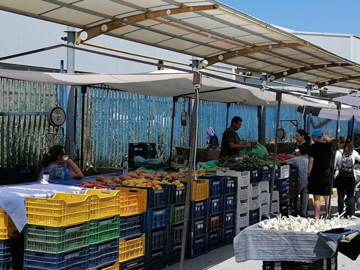O&mu;&omicron;&sigma;&pi;&omicron;&nu;&delta;ί&alpha; &Lambda;&alpha;ϊ&kappa;ώ&nu; &Alpha;&gamma;&omicron;&rho;ώ&nu; &Delta;. &Mu;&alpha;&kappa;&epsilon;&delta;&omicron;&nu;ί&alpha;&sigmaf;: &Epsilon;&pi;&rsquo; &alpha;ό&rho;&iota;&sigma;&tau;&omicron;&nu; &alpha;&pi;&epsilon;&rho;&gamma;ί&alpha;