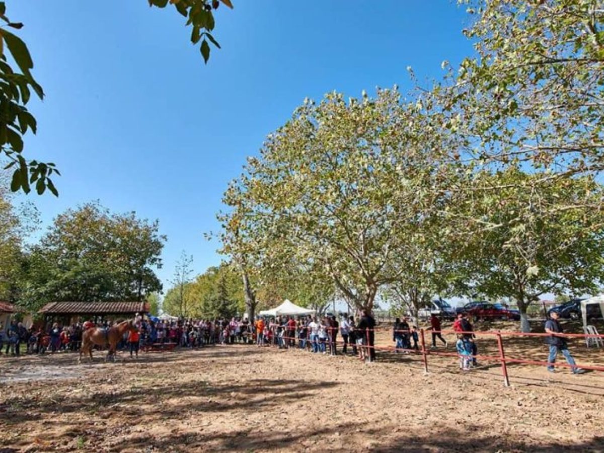 Open Day στον Ιππικό Σύλλογο Δοξάτου