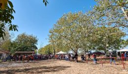 Open-Day-ston-ippiko-sillogo