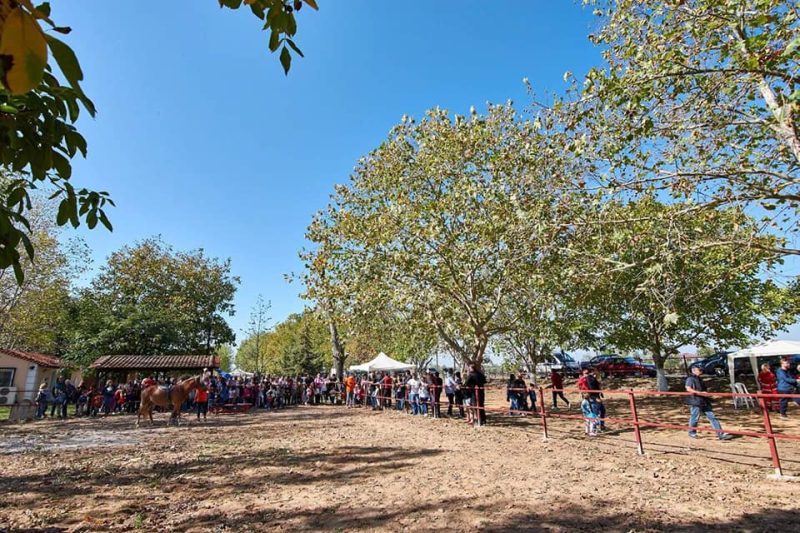 Open-Day-ston-ippiko-sillogo
