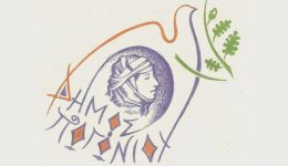 Oristikan-i-antidimarchi-tou-dimou-1
