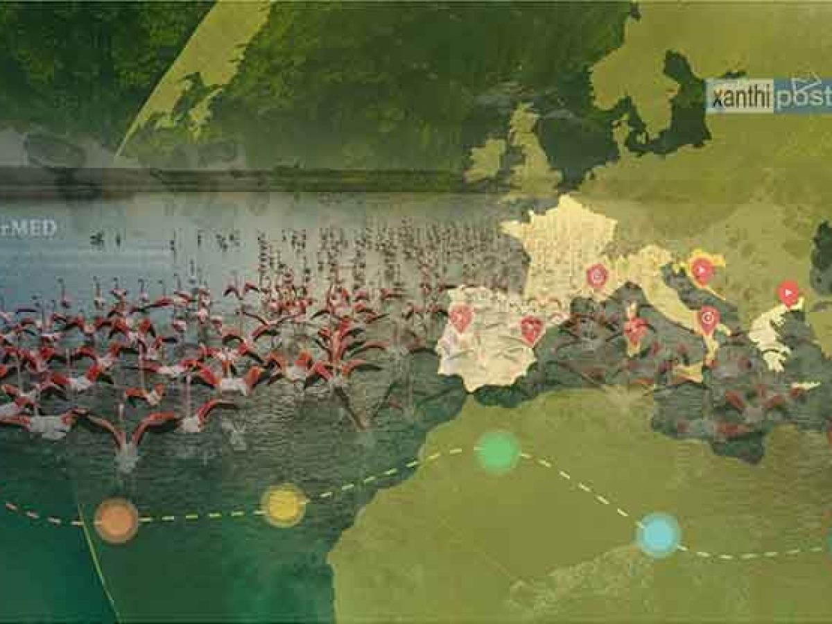 SOS για τη Βιστωνίδα: Στο 80% η θαλασσοποίηση της λίμνης – «Καμπανάκι» από το ΔΠΘ και το πρόγραμμα DesirMED