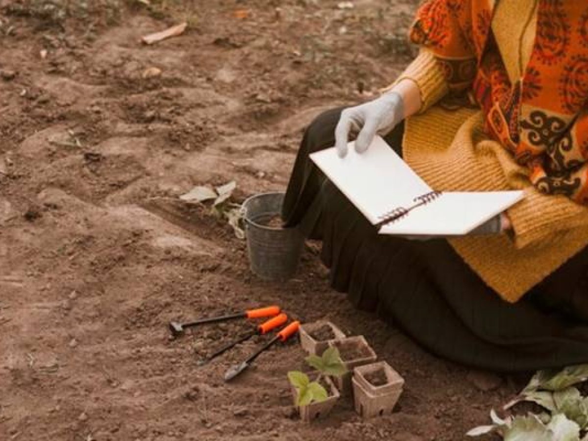 SoilTales: Μαθητές της Λήμνου θα πιάνουν χώμα και θα το κάνουν… ιστορίες για κόμικς!