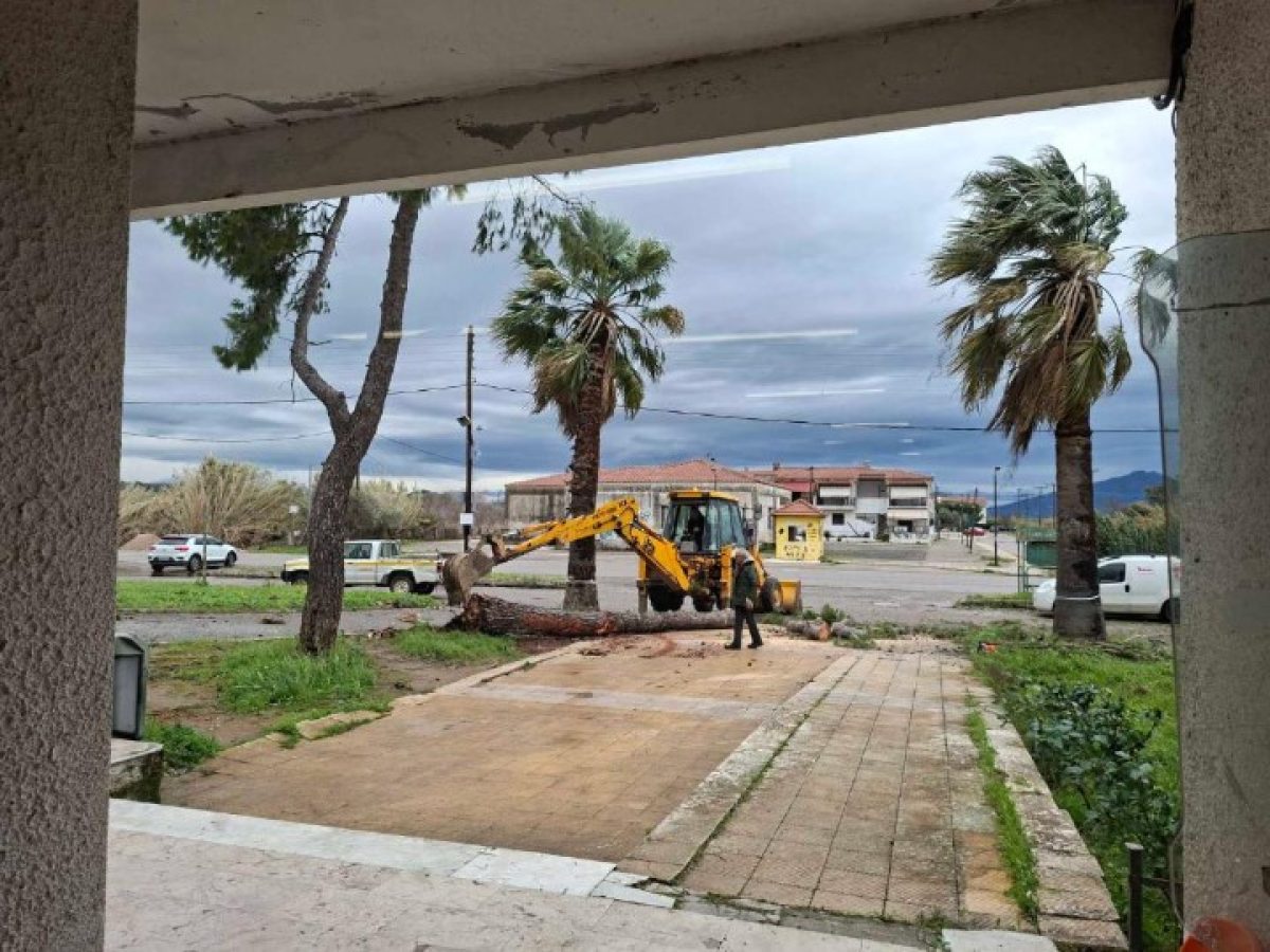 To Κέντρο Υγείας Αιτωλικού ευχαριστεί τον Δήμο Μεσολογγίου για την απομάκρυνση επικίνδυνου δέντρου