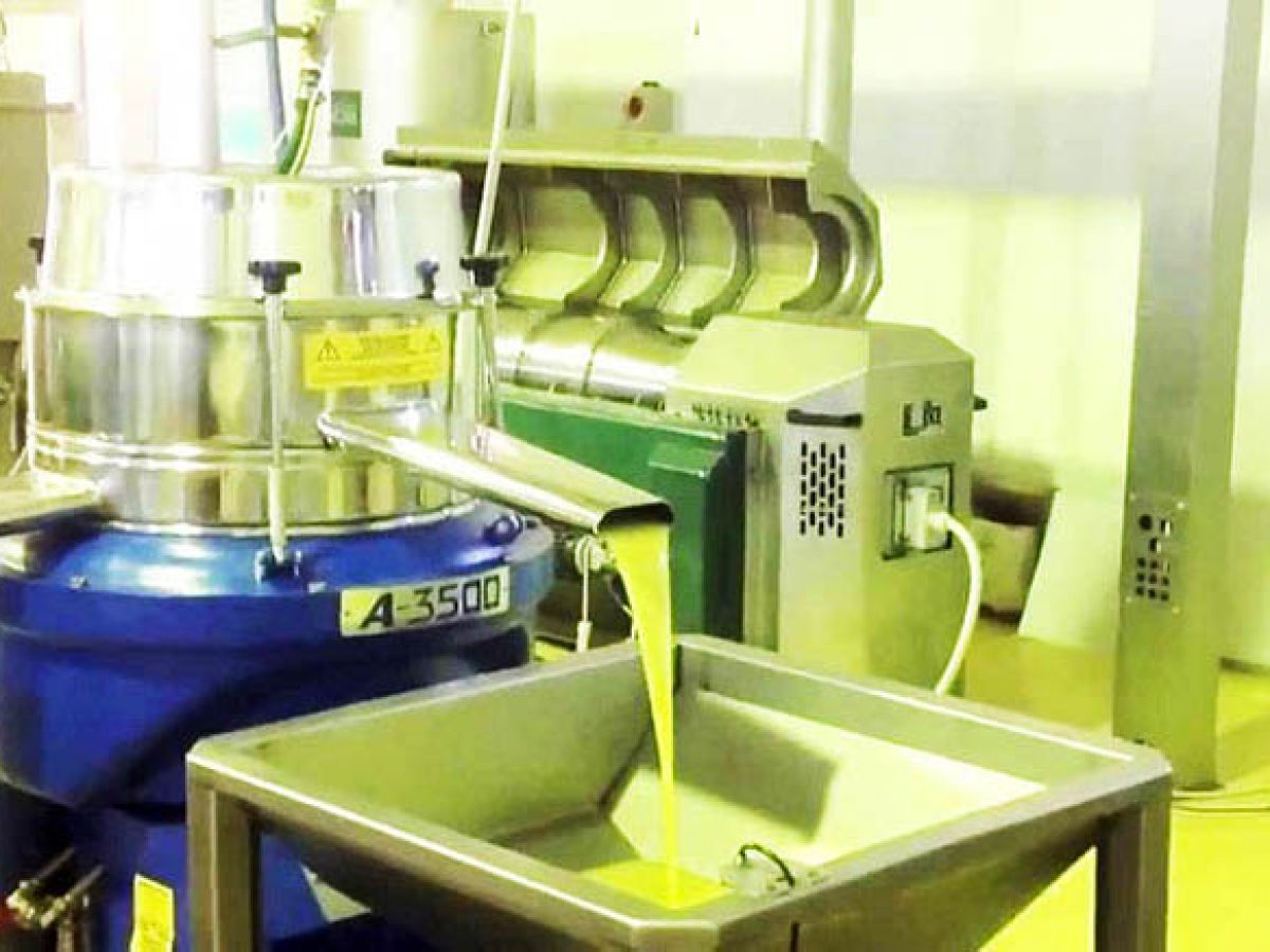 Αυλαία για την φετινή ελαιοκομιδή στην Ζάκυνθο