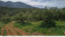 avrio-anikti-sinedriasi-tou-simvouliou