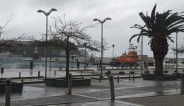 bourini-agriepse-ti-thalassa