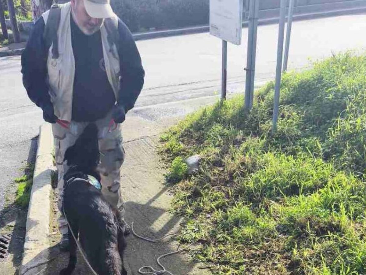 Χανιά | Η “Καρίνα” εντόπισε φόλες στον Ταυρωνίτη