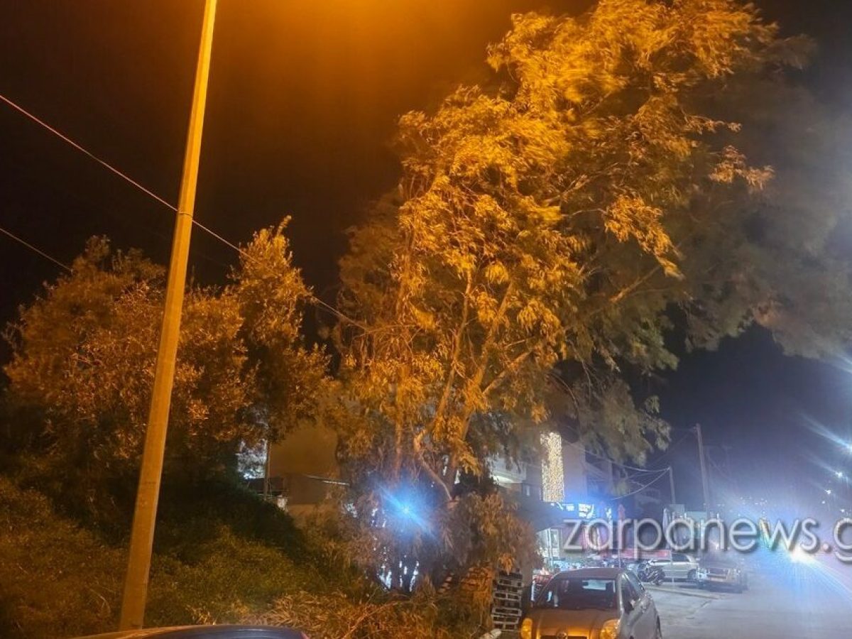 Χανιά | Προσοχή οι οδηγοί – Κινητοποίηση της Πυροσβεστικής για ευκάλυπτο στον κόμβο Σούδας | Photos