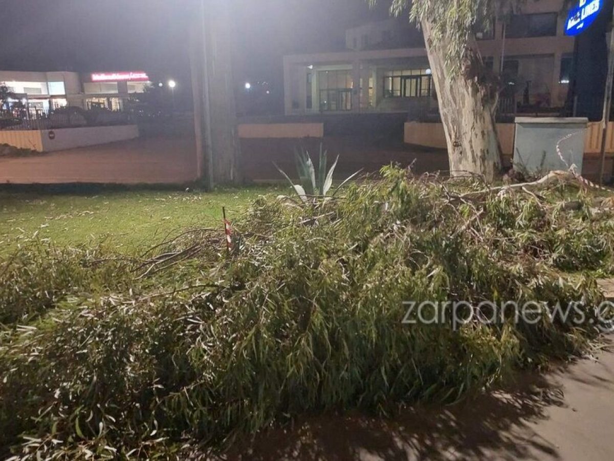 Χανιά | Τεράστιο κλαδί σαν δέντρο έπεσε στη Λεωφόρο Σούδας, λόγω των ανέμων | Video