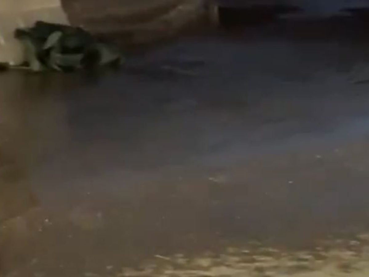 Χανιά: Ξεχείλισαν φρεάτια στη Νέα Χώρα – Μέχρι τη θάλασσα έφτασαν τα λύματα