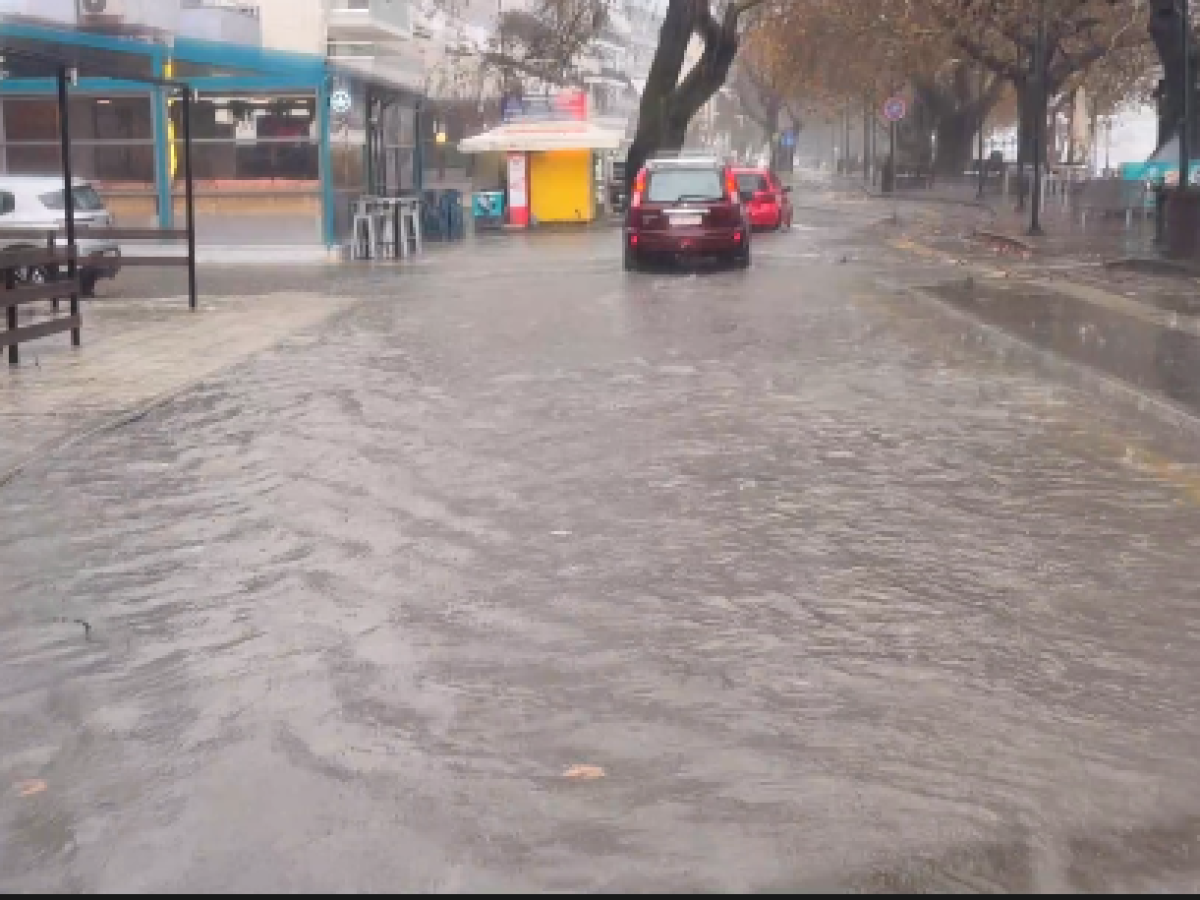 Χάος από την κακοκαιρία σε Ναυπακτία: Δρόμοι–ποτάμια, πτώσεις δέντρων, ζημιές παντού