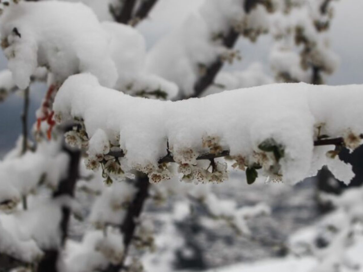 Χιονοπτώσεις στα ορεινά της Θεσσαλονίκης