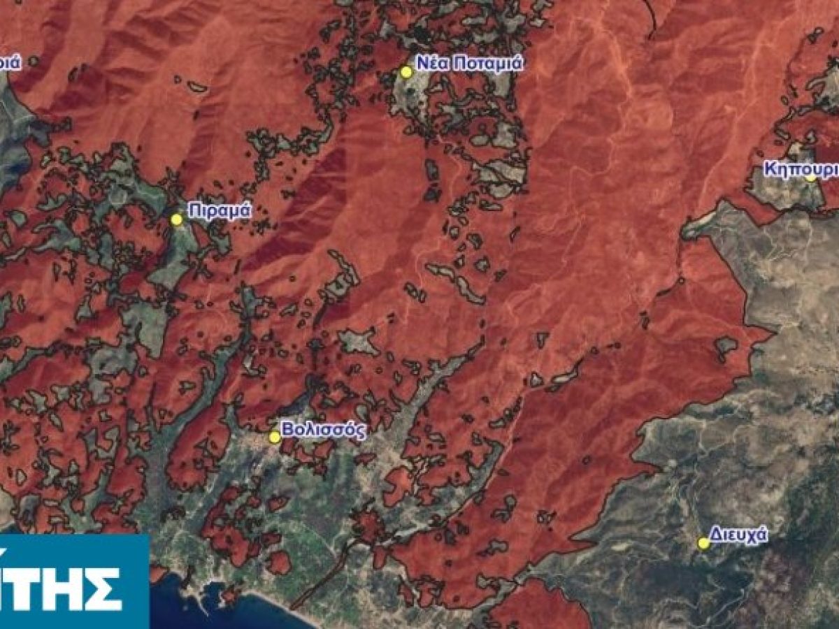 Δεκαετής απαγόρευση βοσκής σε αναδασωτέες εκτάσεις της Χίου