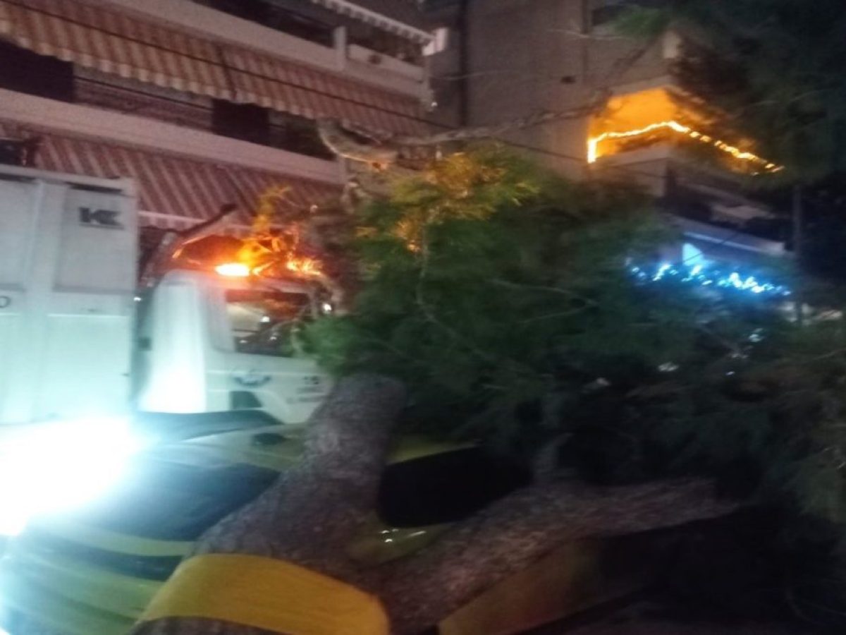 Δέντρο καταπλάκωσε απορριμματοφόρο στο Παλαιό Φάληρο, χωρίς τραυματισμούς