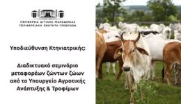 diadiktiako-seminario-metaforeon-zonton-zoon