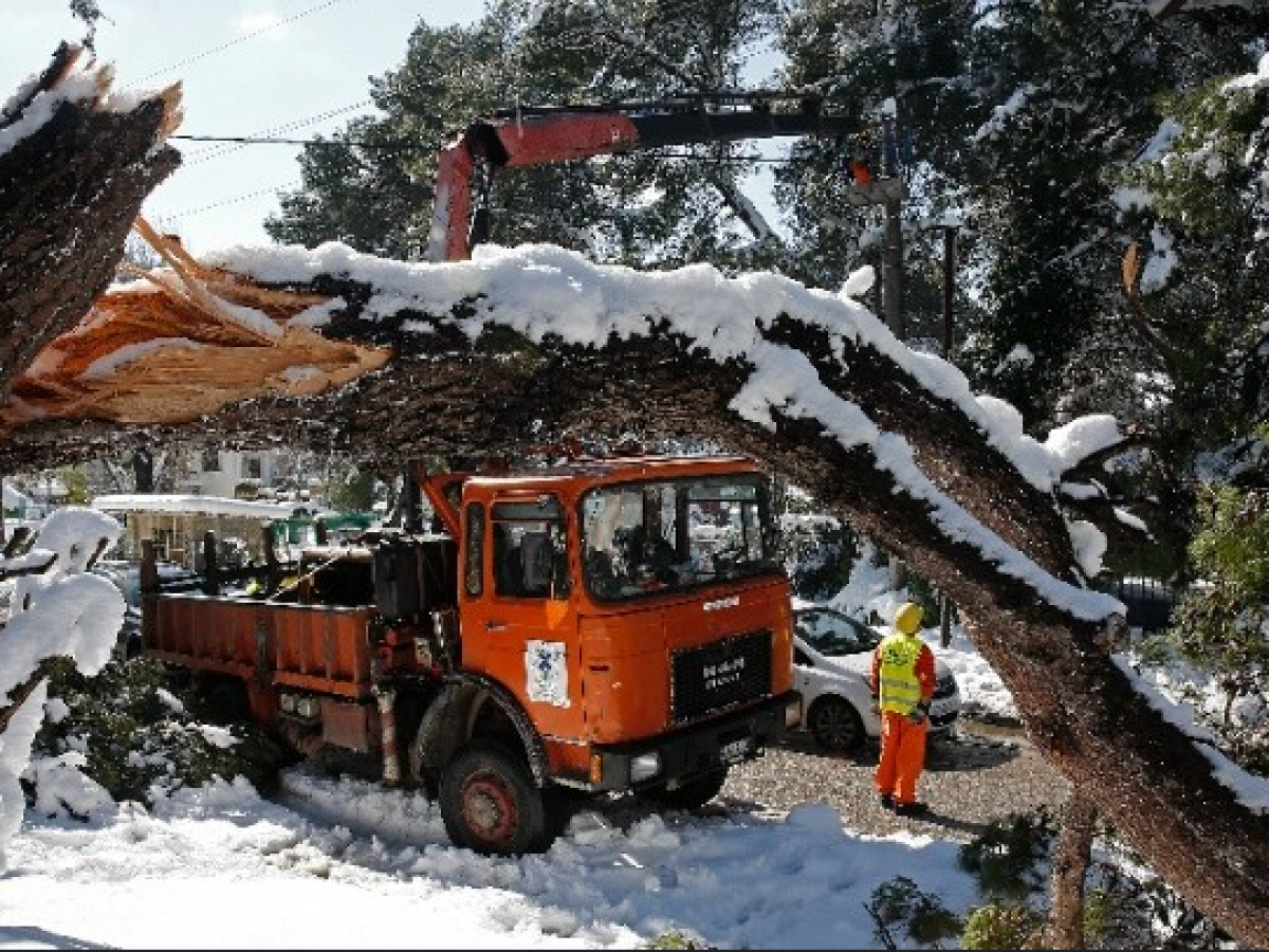 Διακοπές ρεύματος σε περιοχές των Τρικάλων και σε χωριά την Πέμπτη 8 και Παρασκευή 9 Ιανουαρίου