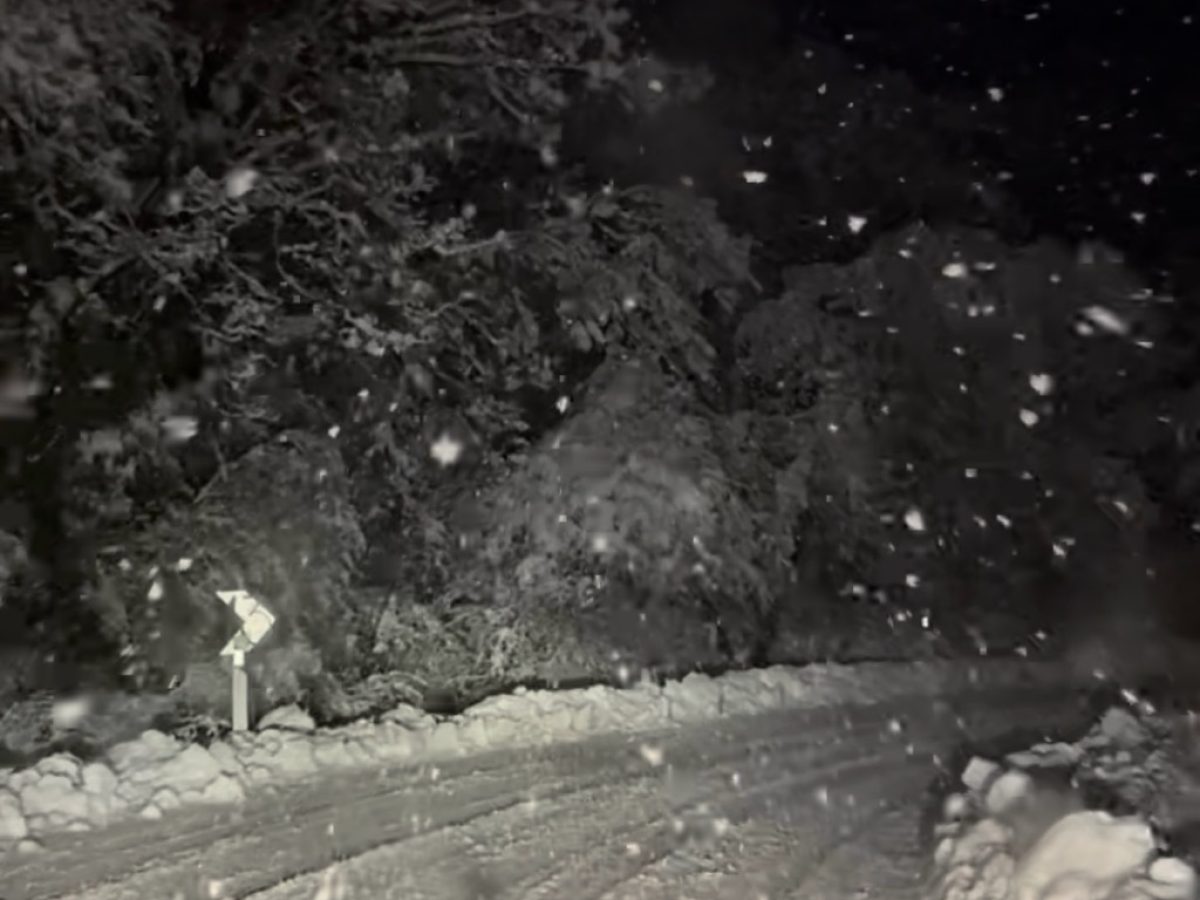 Διακοπή κυκλοφορίας στο οδικό κύκλωμα των Μετεώρων λόγω πτώσης δέντρου