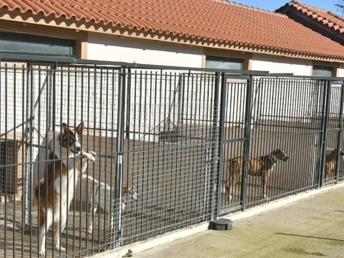 Διδυμότειχο: Πέντε χρόνια κρατάει η κατασκευή Καταφύγιου Αδέσποτων Ζώων (2021-2026) – Δόθηκε 5η παράταση ως Αύγουστο