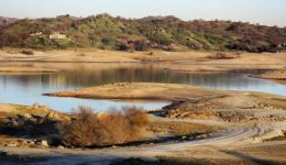 dilosi-chari-mamoulaki-i-kriti-1