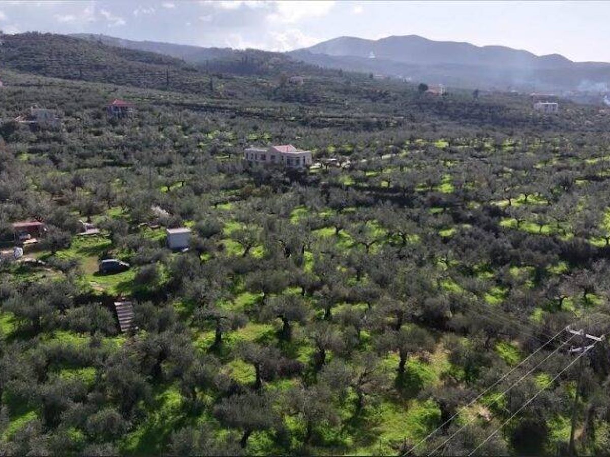 Δηλώσεις ΟΣΔΕ: Προς παράταση η δυνατότητα υποβολής ΥΔ για αγροτεμάχια μέχρι 20 στρέμματα