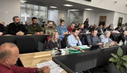 dimini-paratasi-tis-thitias-ton