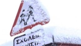 dimos-grevenon-klista-ola-ta