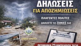 dimos-oropou-diadikasia-chorigisis-ikonomikis