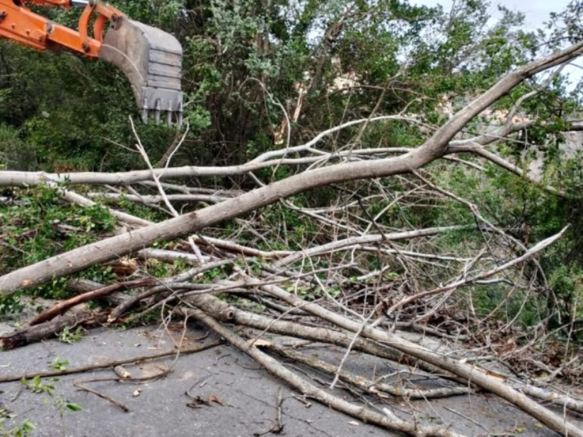 Δήμος Σπάρτης: Αιτήσεις για χορήγηση αποζημίωσης για ζημιές σε σπίτια και οικοσυσκευές