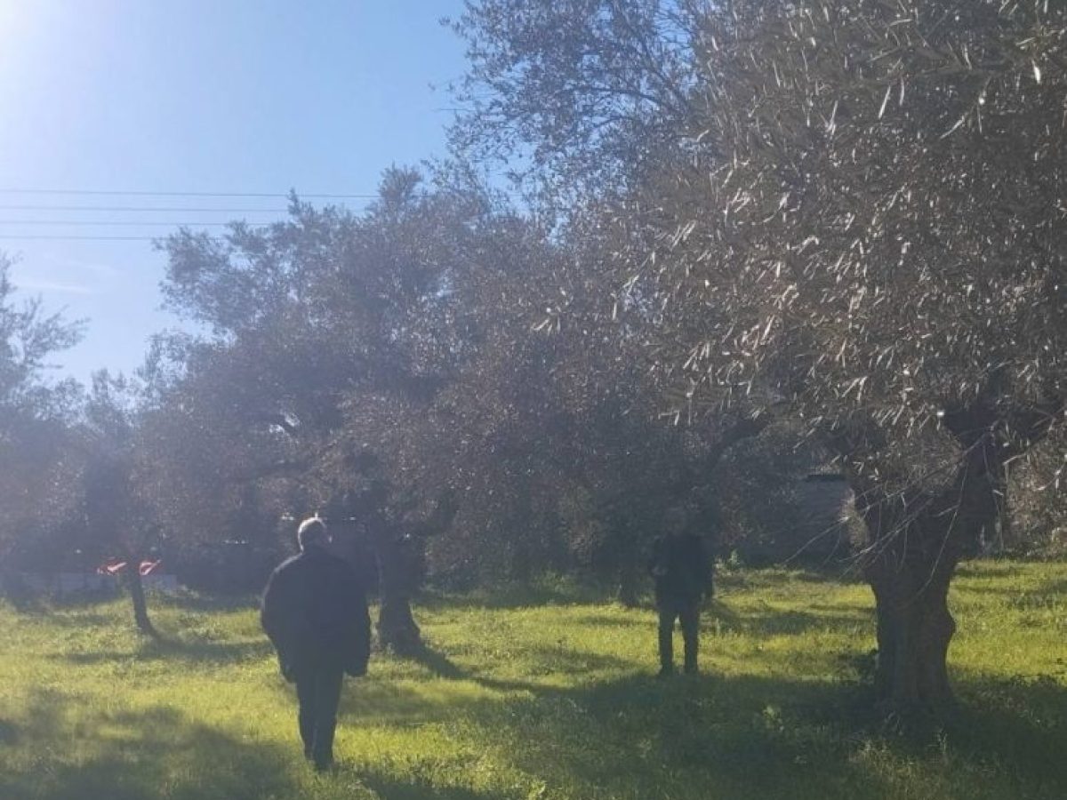 Δήμος Σπάρτης: Ξεκινούν οι δηλώσεις ζημιάς από την ανεμοθύελλα της 10ης Ιανουαρίου