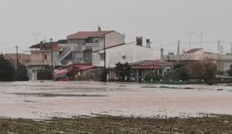 dimos-Αlexandroupolis-Αpo-deftera-i-1