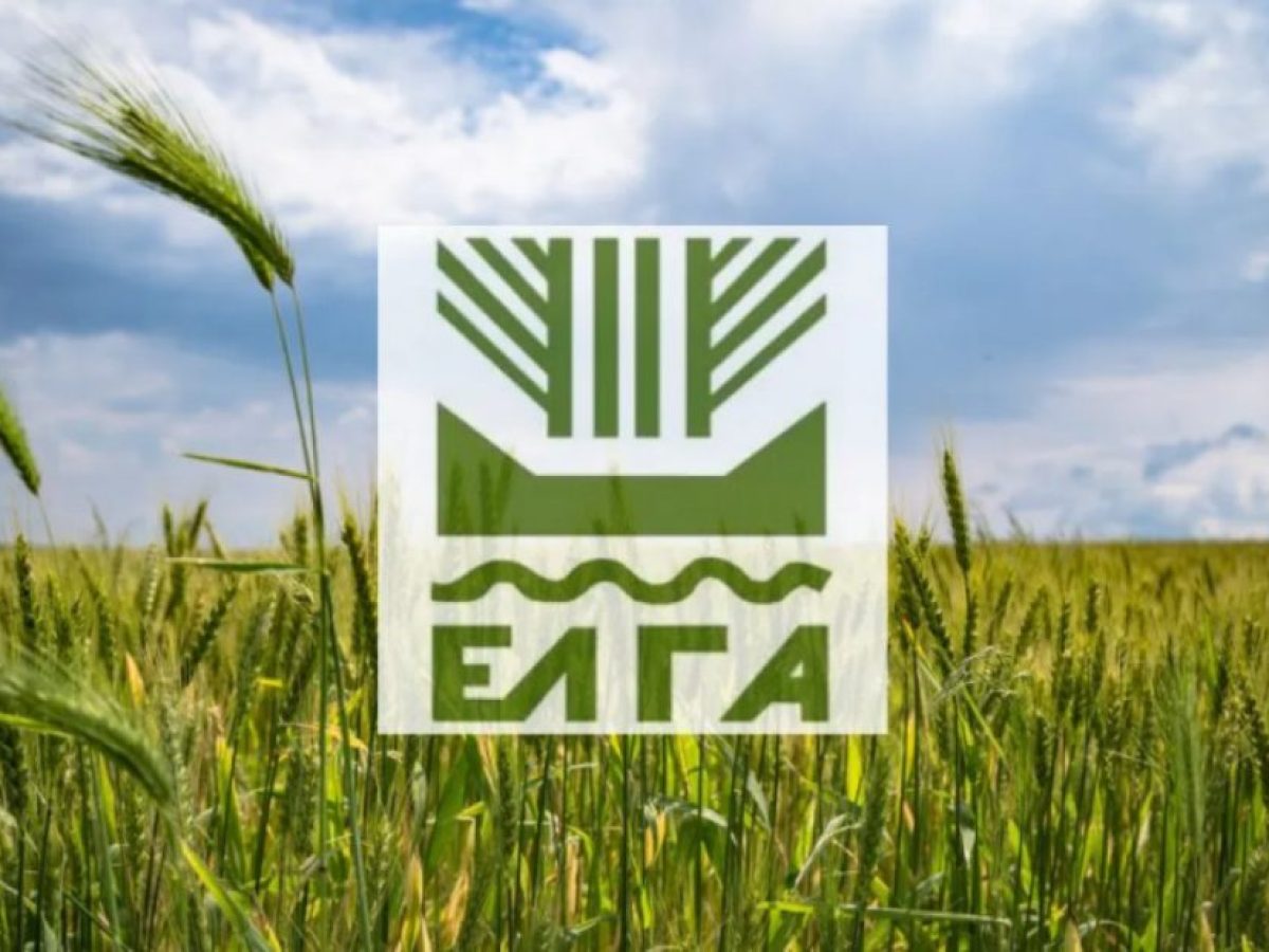 Δήμος Ανατολικής Μάνης: Έως τις 16 Ιανουαρίου οι δηλώσεις για ζημιές φυτικού κεφαλαίου