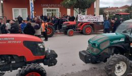 dinamiki-parousia-ton-agroton-sto