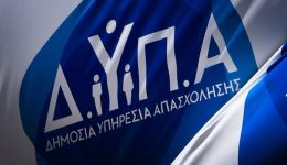 dipΑ-programma-gia-10.000-ginekes-1