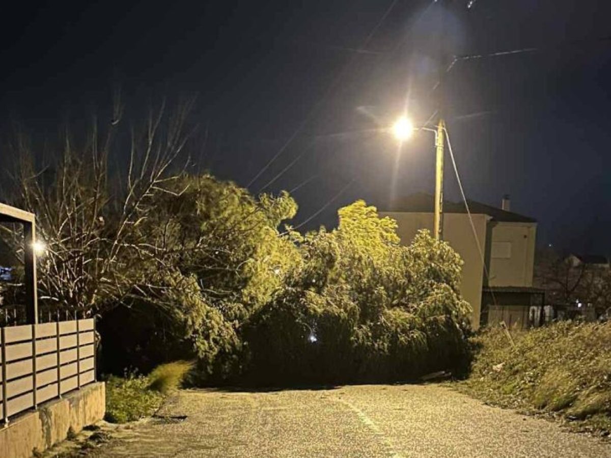 Δυτική Ελλάδα-κακοκαιρία: 74 κλήσεις δέχθηκε η Πυροσβεστική – οι 55 για κοπές δέντρων