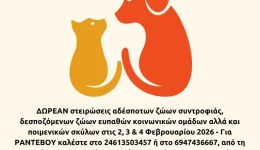 divdimos-kozanis-dore&Alpha;n-stirosis-stis