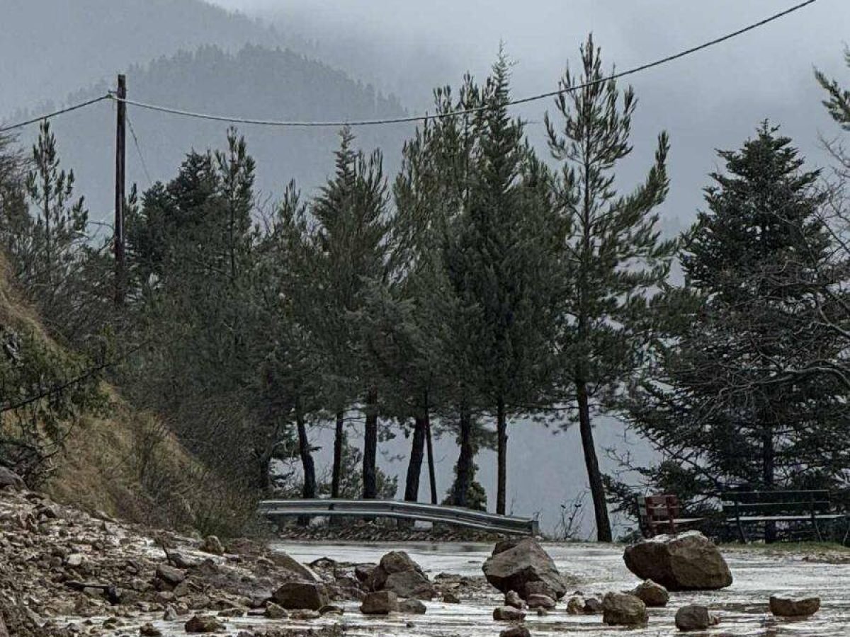 &Kappa;&alpha;&tau;&alpha;&pi;&tau;ώ&sigma;&epsilon;&iota;&sigmaf; &sigma;&epsilon; &Phi;&lambda;&omega;&rho;&iota;ά&delta;&alpha;, &Epsilon;.&Omicron; &Alpha;&gamma;&rho;&iota;&nu;ί&omicron;&upsilon;-&Kappa;&alpha;&rho;&pi;&epsilon;&nu;&eta;&sigma;ί&omicron;&upsilon; & &omicron;&rho;&epsilon;&iota;&nu;ή &Nu;&alpha;&upsilon;&pi;&alpha;&kappa;&tau;ί&alpha;-&Sigma;&epsilon; &epsilon;&gamma;&rho;ή&gamma;&omicron;&rho;&sigma;&eta; &eta; &Pi;&epsilon;&rho;&iota;&phi;έ&rho;&epsilon;&iota;&alpha;