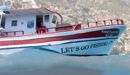 divneo-programma-Αlieftikos-tourismos