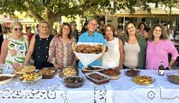 divo-dimos-ilidas-to
