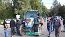 divo-emporoepangelmatikos-sillogos-kefalonias