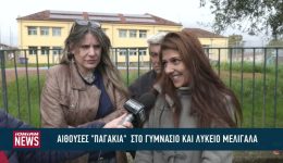 divse-sinthikes-polikon-thermokrasion-kanoun